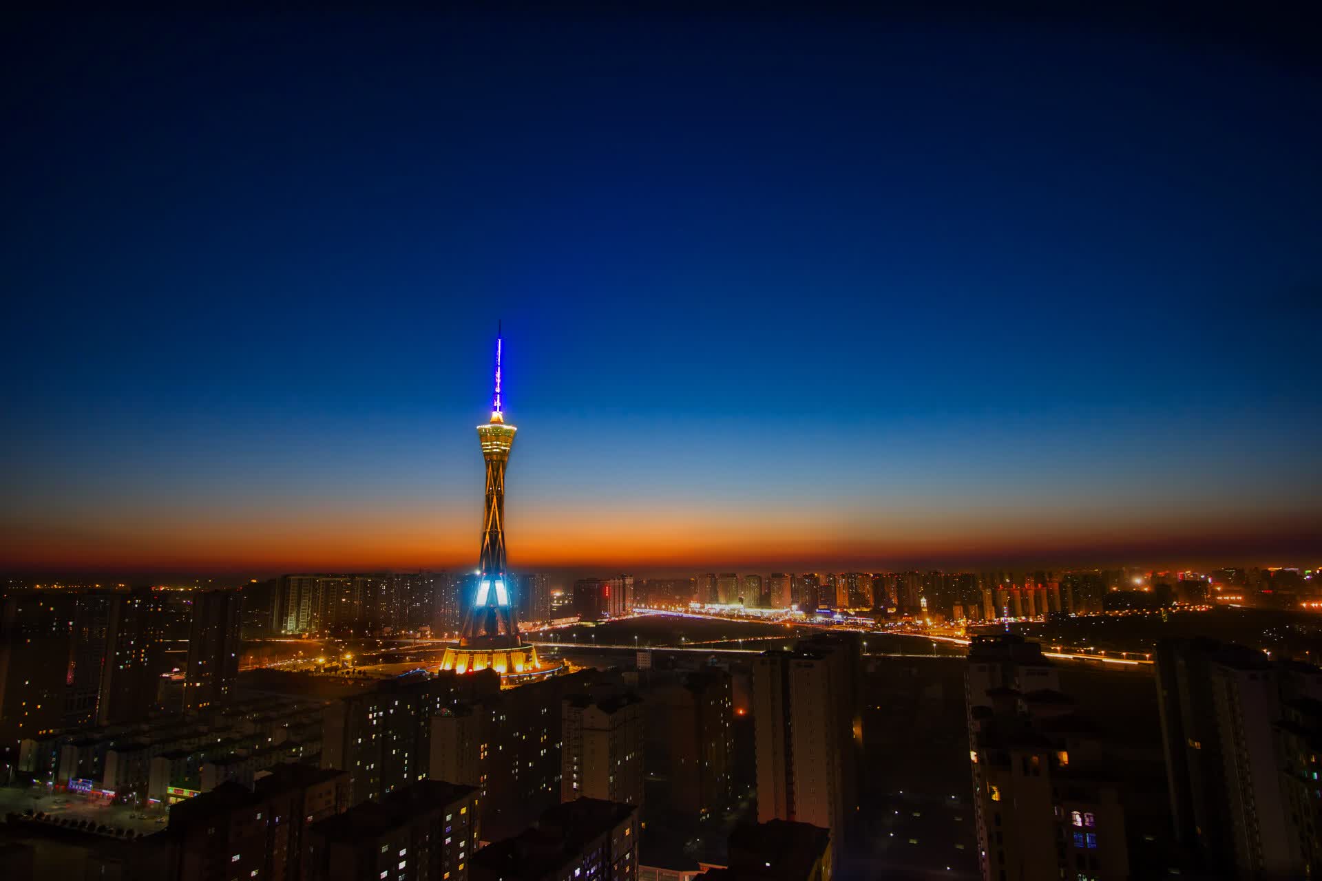 世界游泳赛后选手职业过渡支持平台上线评估,世界游泳比赛冠军