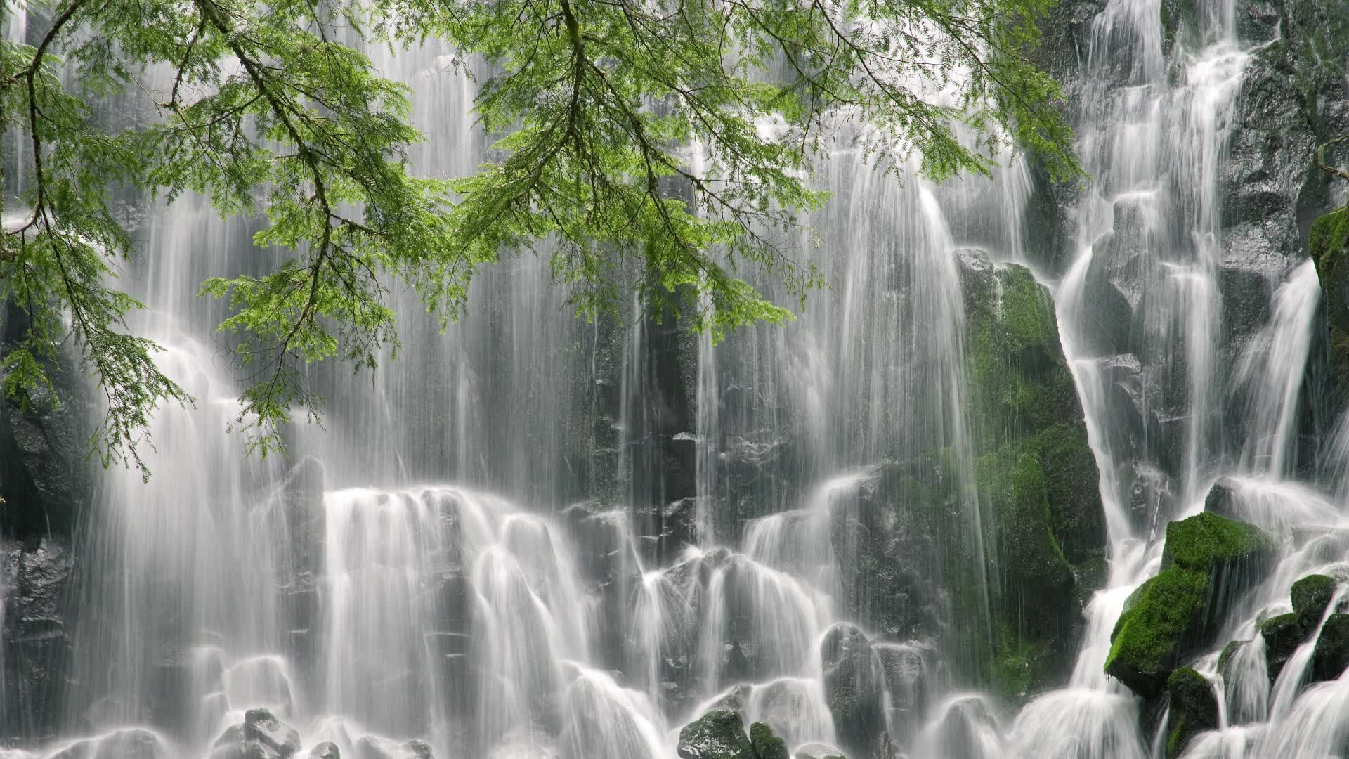 世界短跑科研平台合作:高校与队伍共建实验室成果显现,世界短跑比赛视频