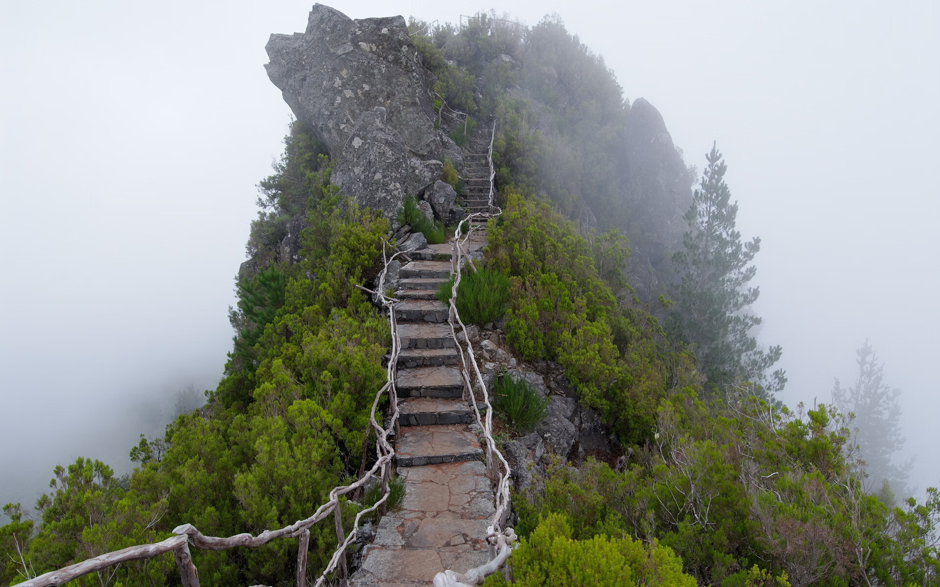 世界短道速滑青年赛选手技术研讨会召开，世界短道速滑冠军是谁
